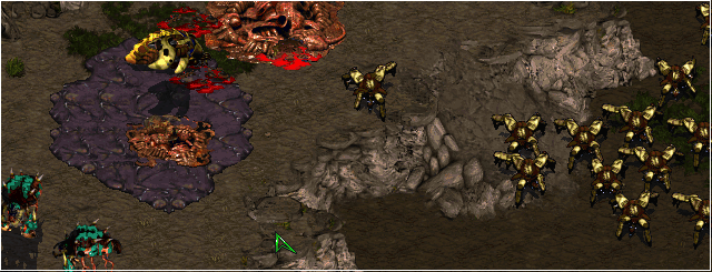 That reaver earned himself a night with the praetor's own personal probes